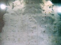 photos 2000-200901282